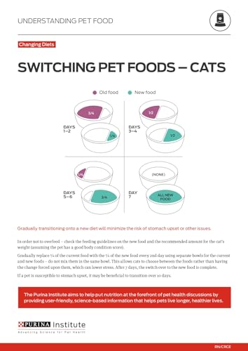 Porciones recomendadas Purina ONE comida para gatos