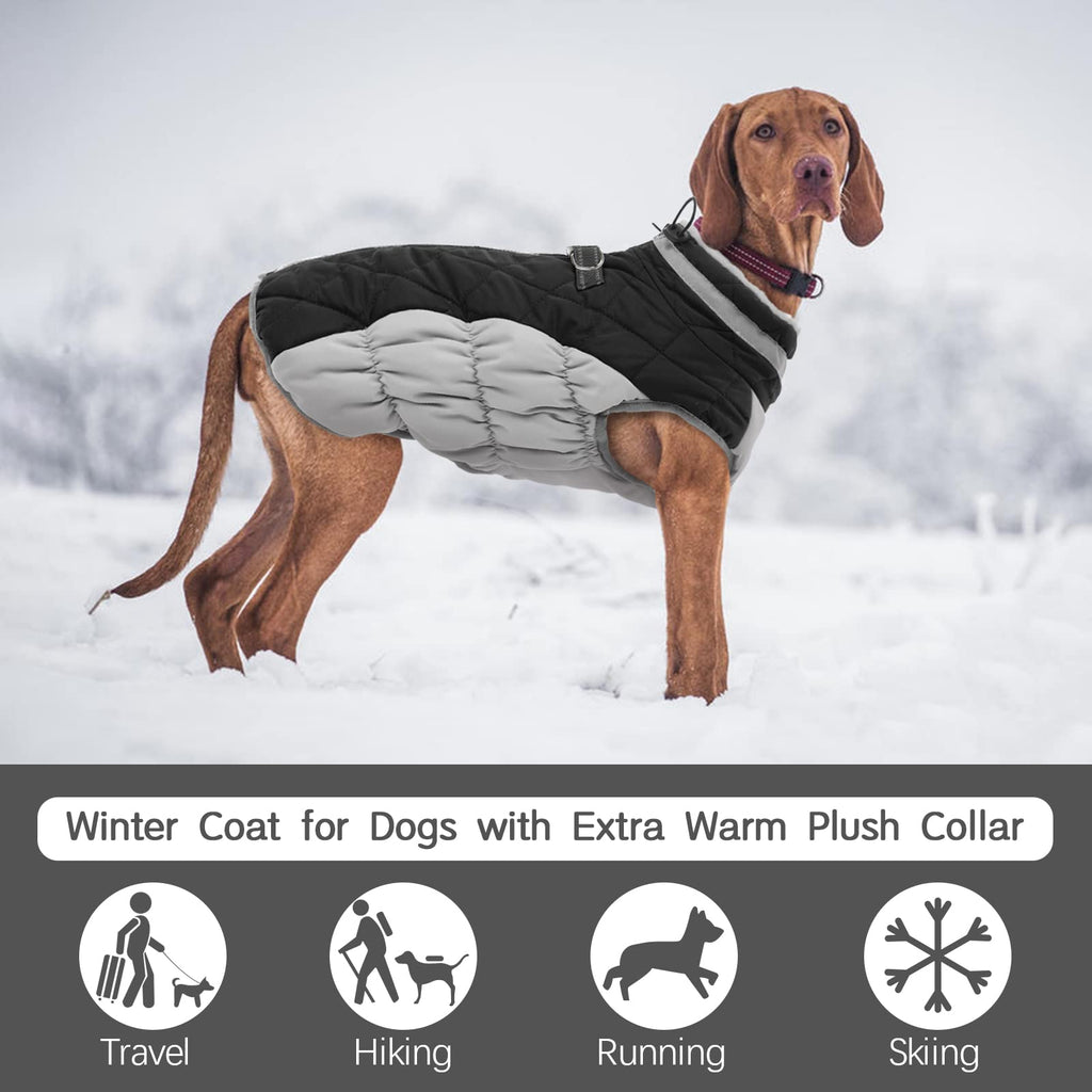Abrigo Reflectante de Invierno para Perros FUAMEY – Chaqueta Acolchada Impermeable con Forro Térmico | Protección contra Frío, Viento y Nieve