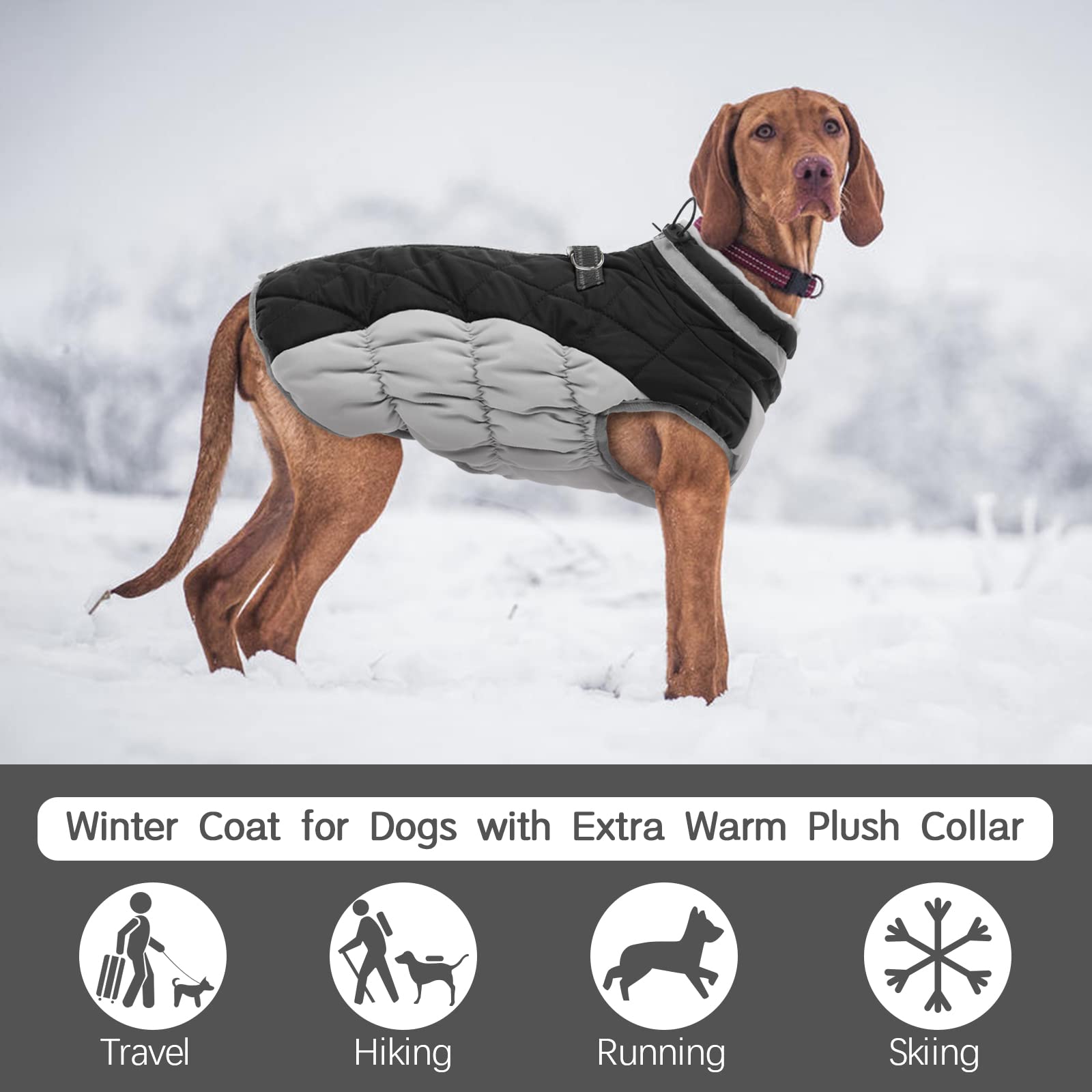 Abrigo Reflectante de Invierno para Perros FUAMEY – Chaqueta Acolchada Impermeable con Forro Térmico | Protección contra Frío, Viento y Nieve
