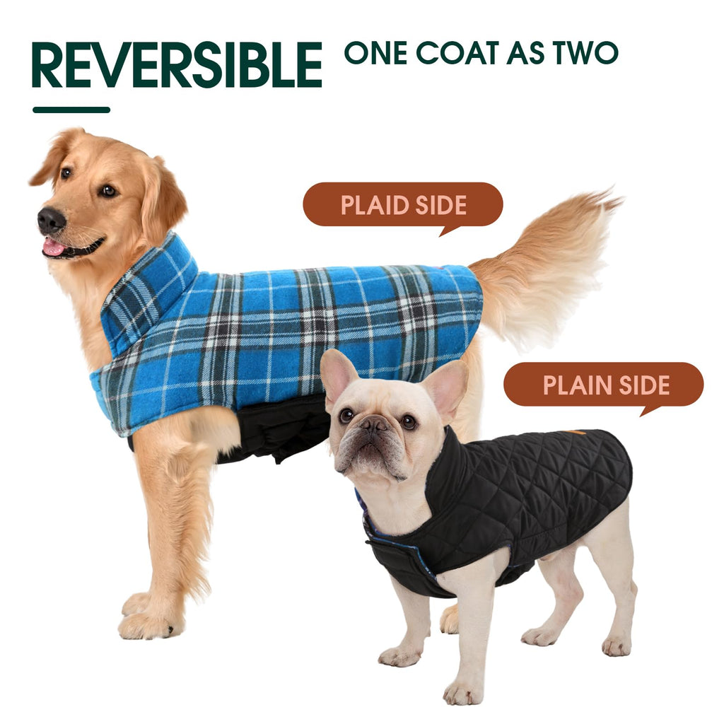 Guía de tallas abrigo Kuoser para perros, grande y chico