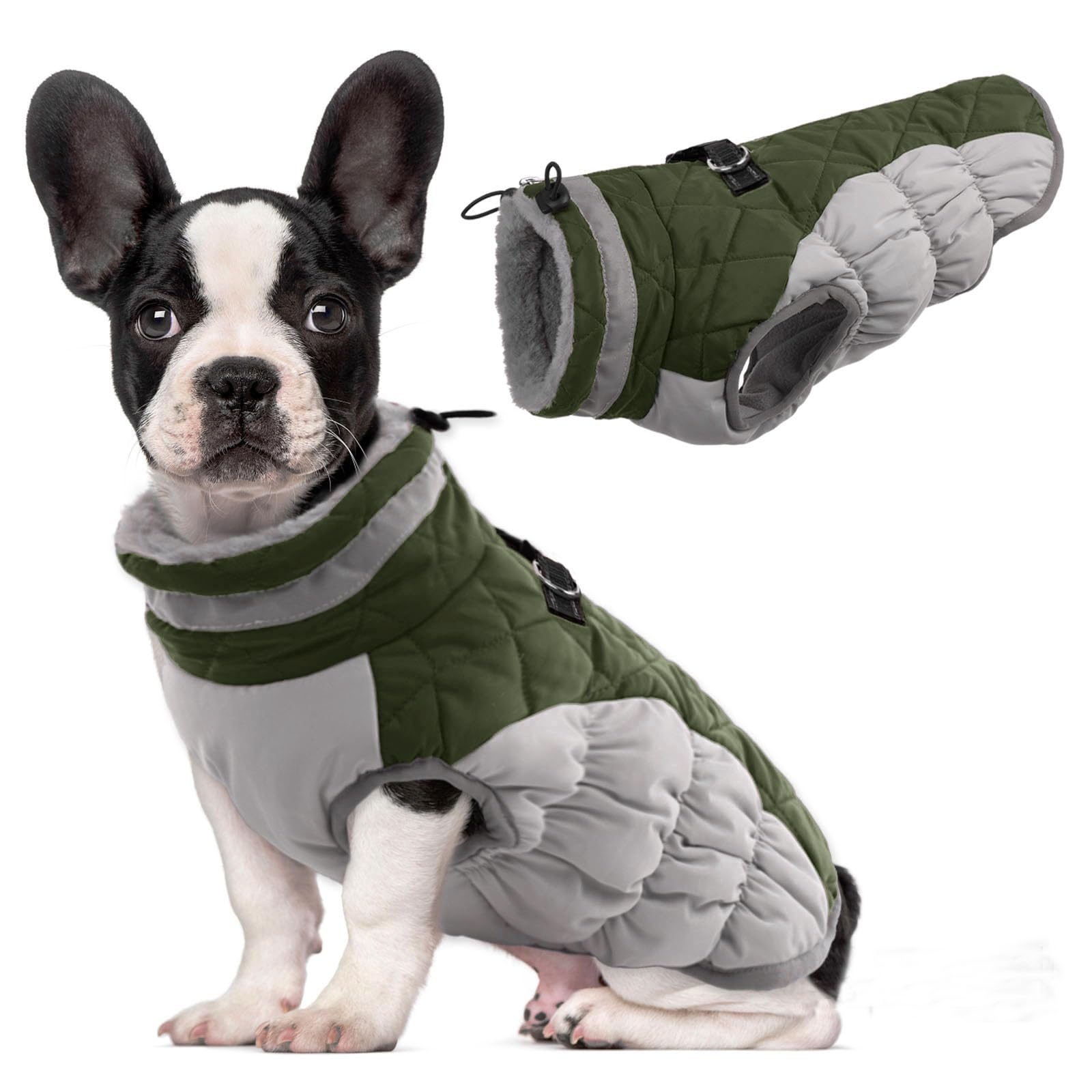 Perro usando abrigo impermeable verde militar