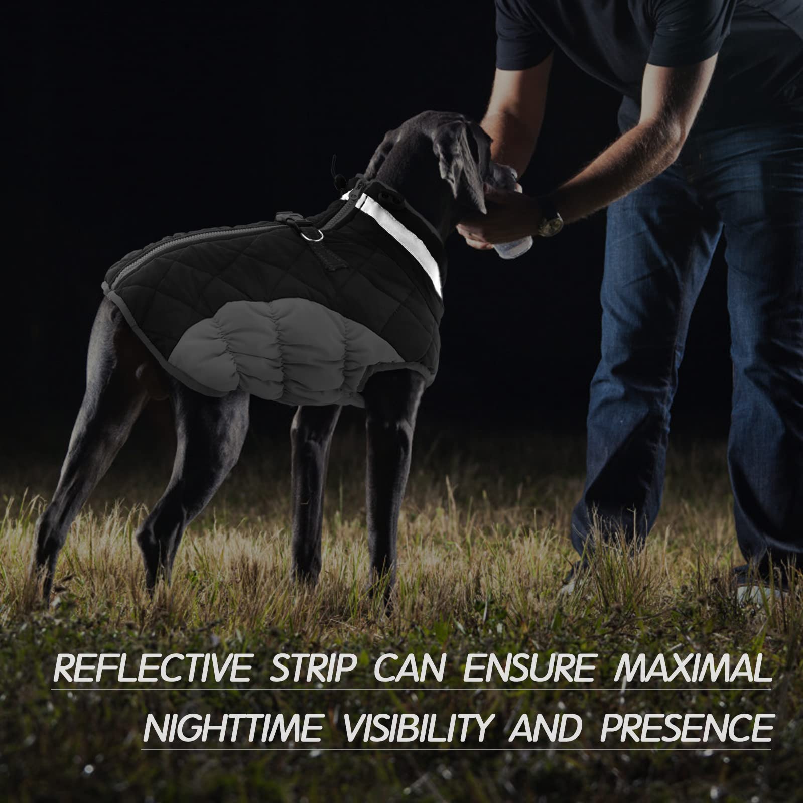 Chaqueta de invierno para perro con protección contra viento y nieve