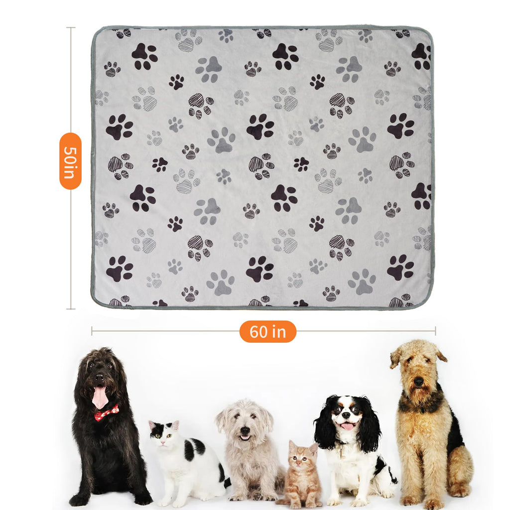 Guía para elegir el tamaño de manta para mascotas