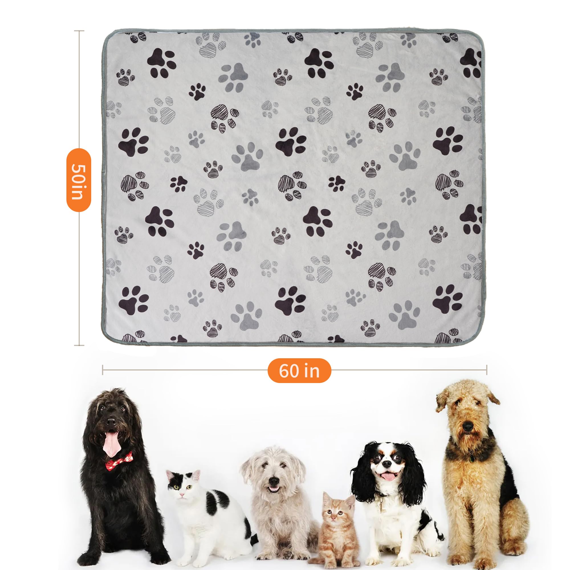 Guía para elegir el tamaño de manta para mascotas