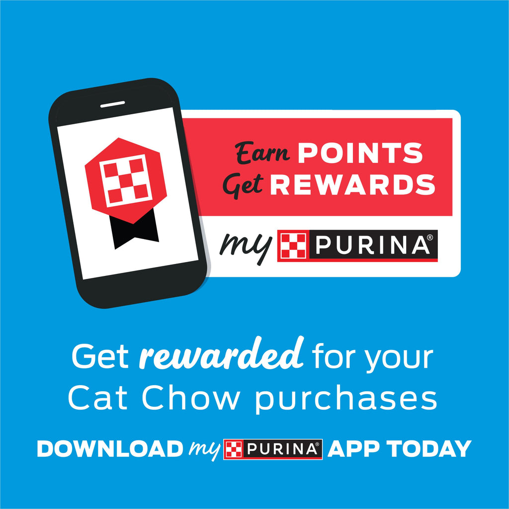 Purina Cat Chow Naturals – Alimento Seco para Gatos Adultos | Fórmula Nutritiva con Proteínas, Vitaminas y Minerales
