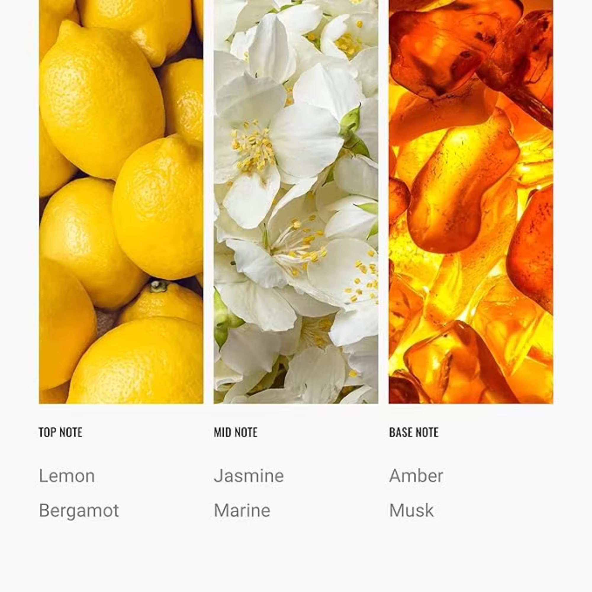 Hotel Diffuser Oil Inspired by The Ritz Carlton Hotel 500ml - Diffuser Oil Blends for Aromatherapy - Notes of Bergamot, Jasmine & Amber - Premium Fragrance Oil for Ultrasonic and Waterless Diffusers