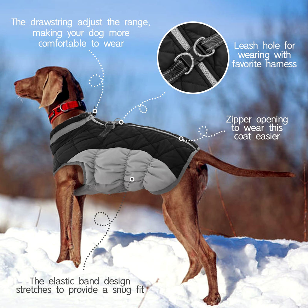 Chaqueta de invierno para perro con protección contra viento y nieve