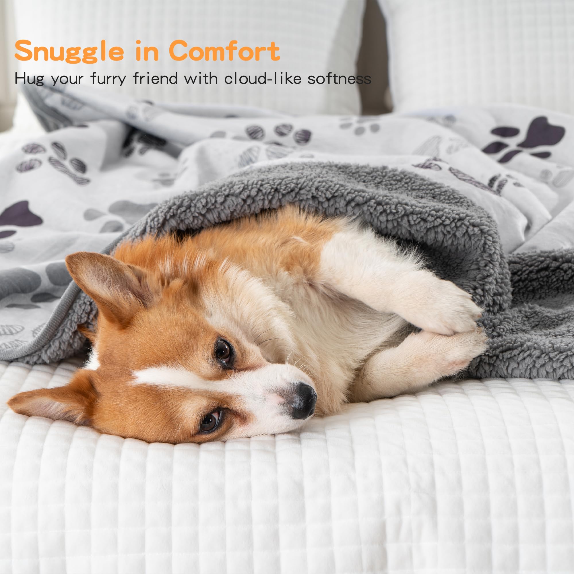 Manta impermeable sobre sofá con perro acostado