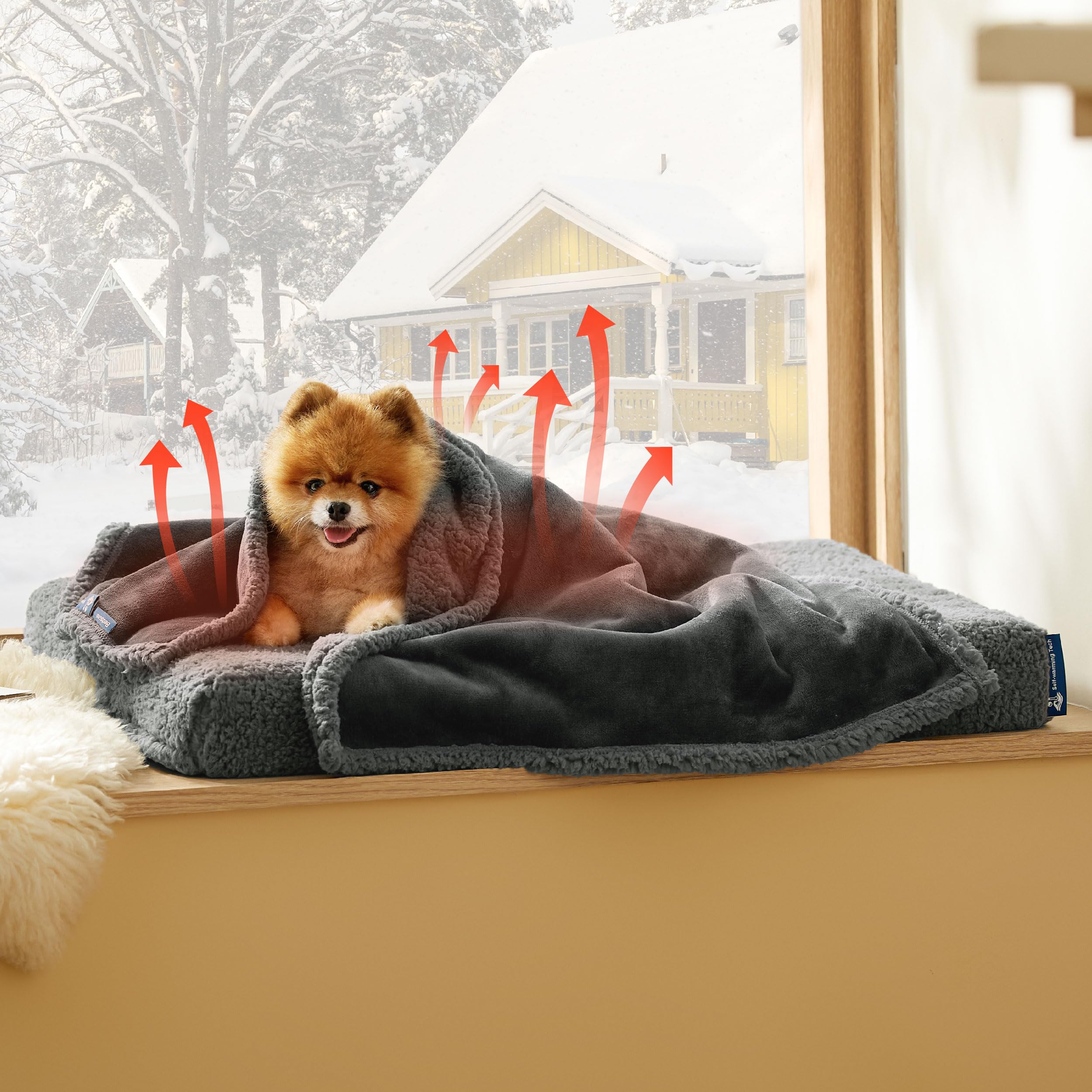 Perro pequeño descansando sobre manta autocalentable  Bedsure gris