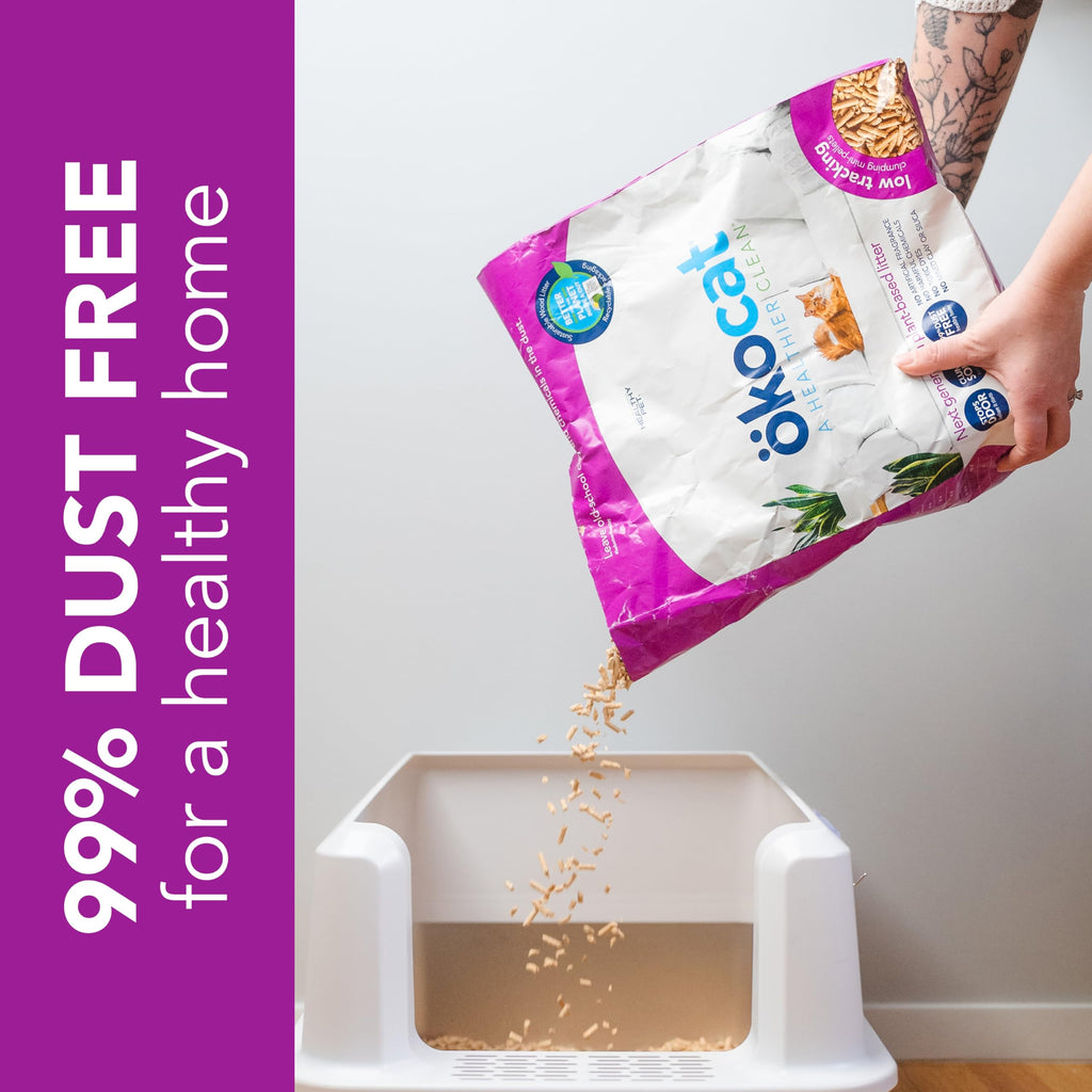 Nunca te quedes sin arena  Ökocat