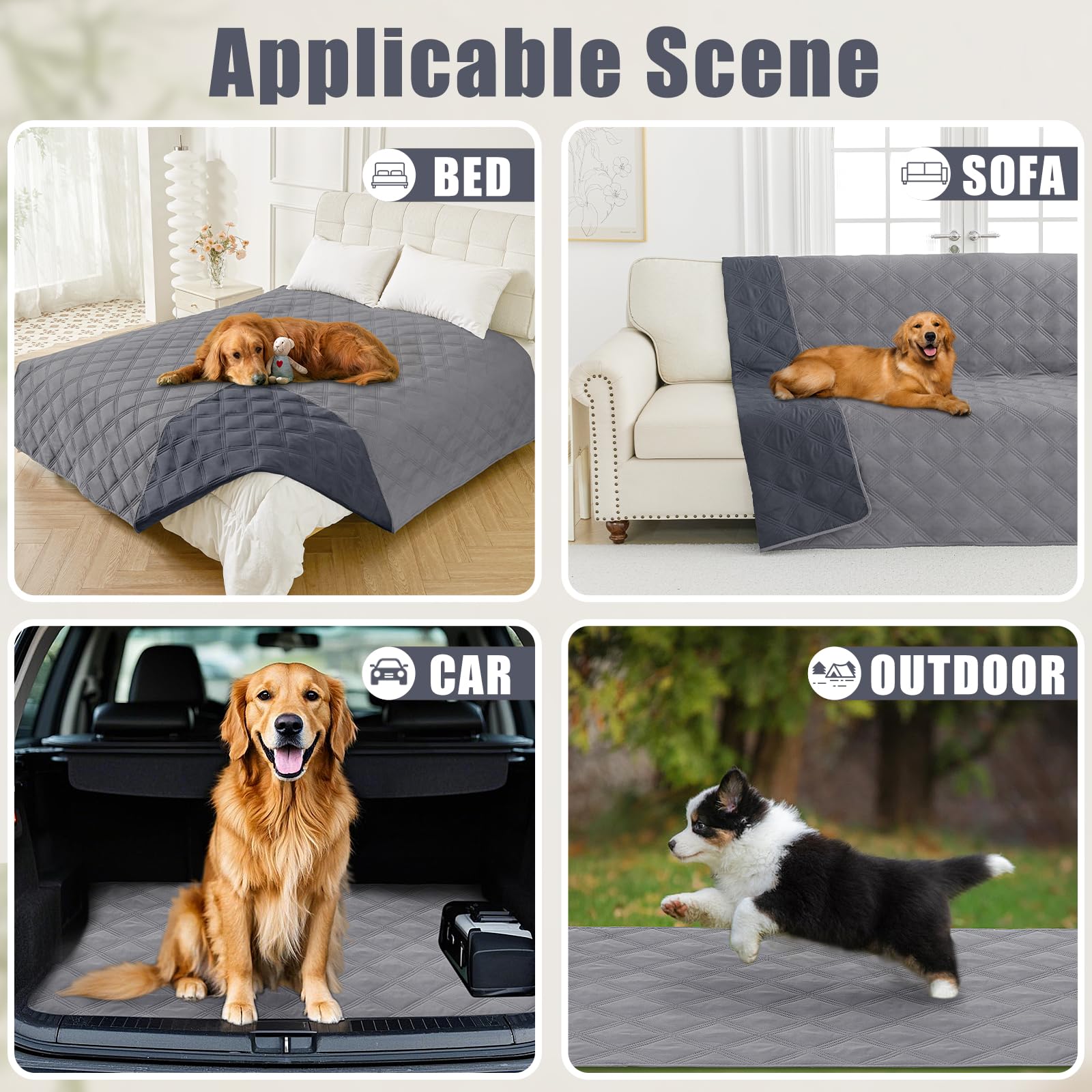 Manta para mascotas en diferentes escenarios