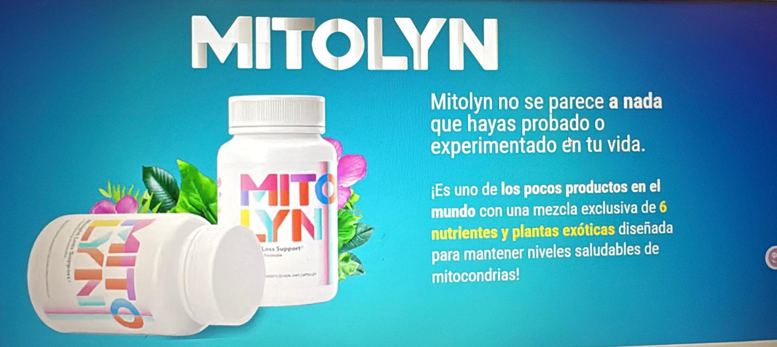 mitolyn-ingredientes-naturales-amla-cacao-schisandra.