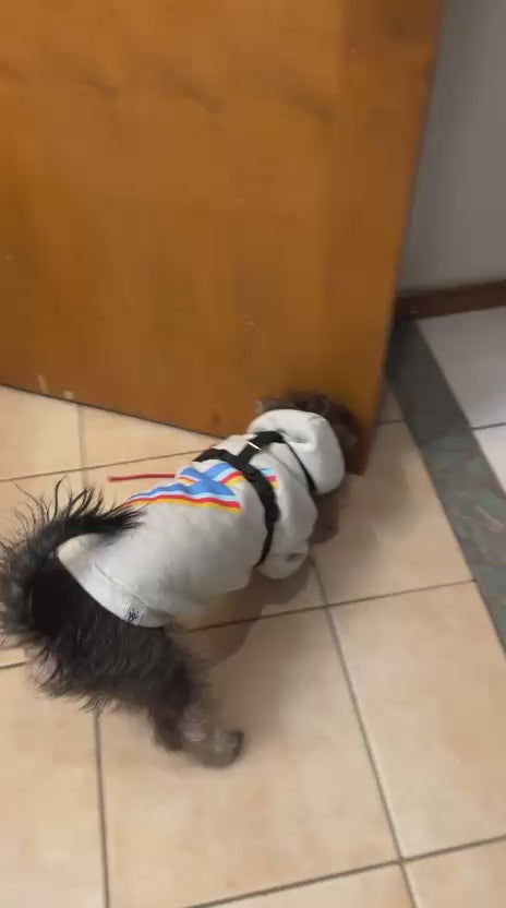 Juguete interactivo para perros que reduce ansiedad y aburrimiento